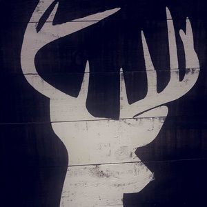 Meet your Posher, Halie